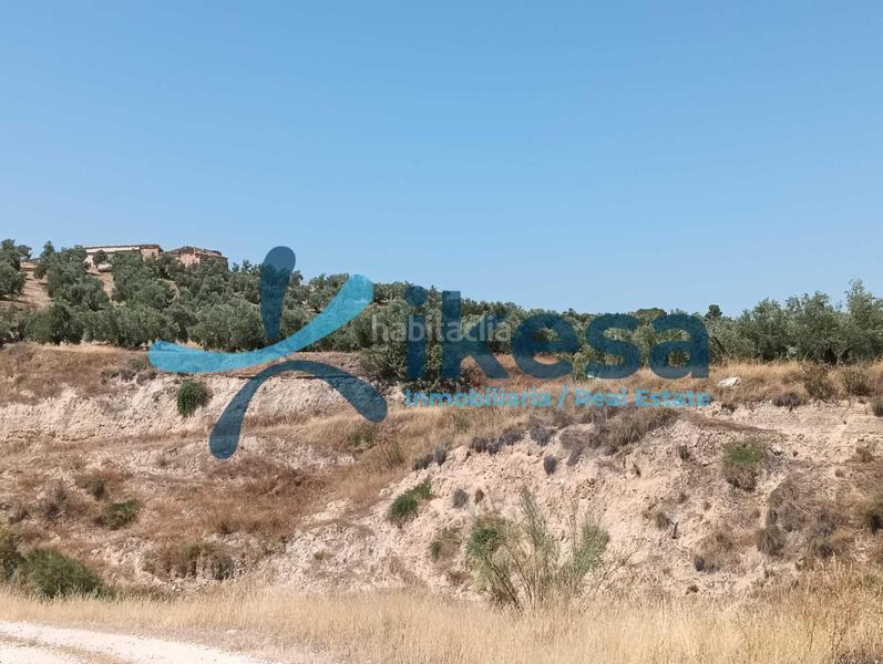 Foto 132bef17-b010-478d-9e0f-f18a6aa929f8. Propriété dans Jódar