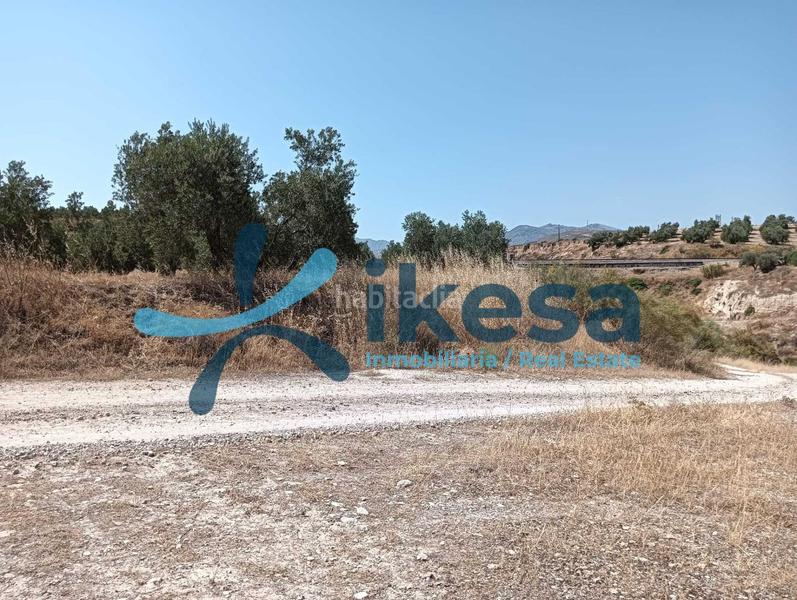 Foto 241f2af1-b723-4c74-a530-be41b8b073e4. Propriété dans Jódar