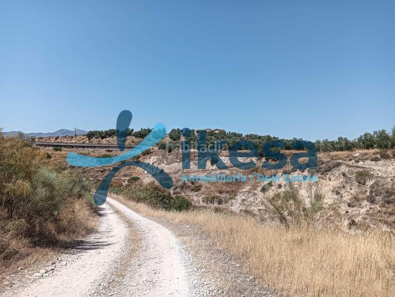 Foto 9ec13d9a-50d2-4c01-9786-766e498a87c4. Propriété dans Jódar