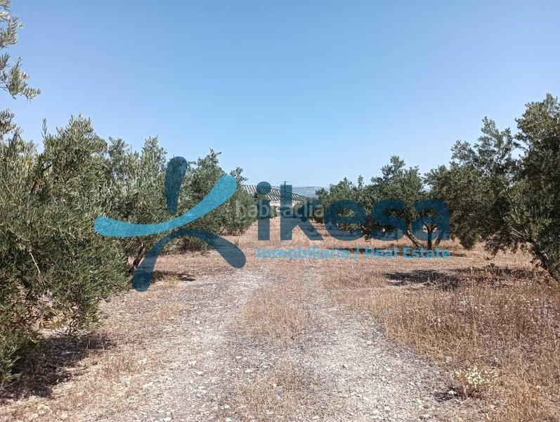 Foto b05b9c2a-4d3d-45c4-ae9e-105a606e7e4f. Propriété dans Jódar