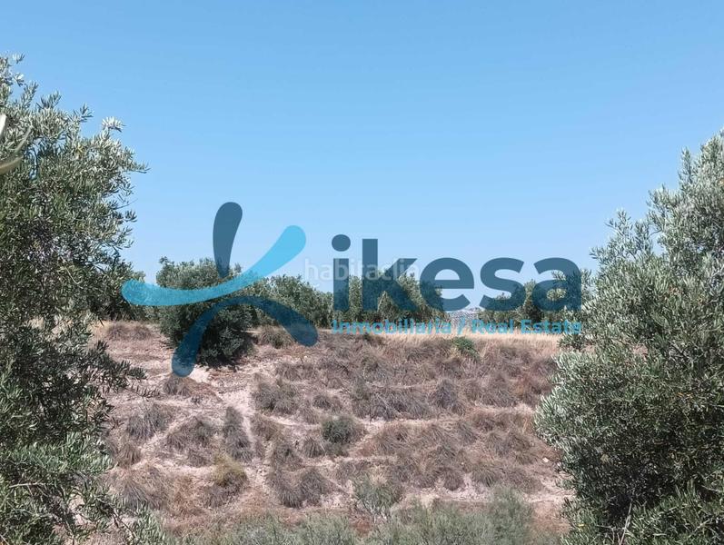 Foto c864093c-7f70-40c9-9fb7-528d5878103d. Propriété dans Jódar