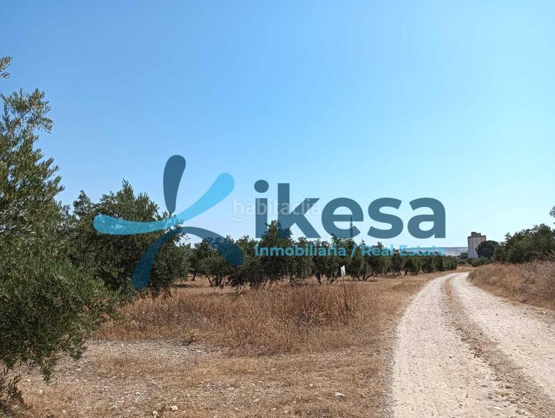 Foto db7008ff-77aa-4c09-81a7-57d2b71d1b3c. Propriété dans Jódar