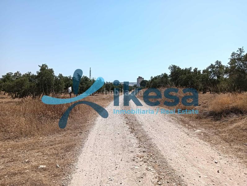 Foto e60b7d47-b2fc-4b45-9109-58e784453b8b. Propriété dans Jódar