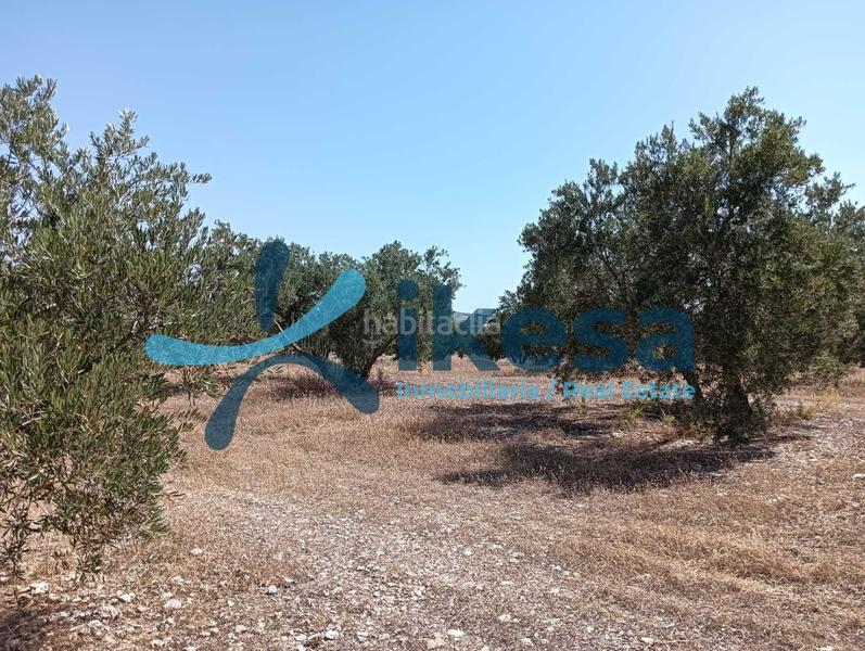 Foto e6d997f5-d8b2-407e-9f32-84409a2f1bee. Propriété dans Jódar