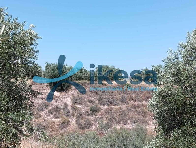 Foto e899965a-2503-46cd-949b-362892ca5f02. Propriété dans Jódar