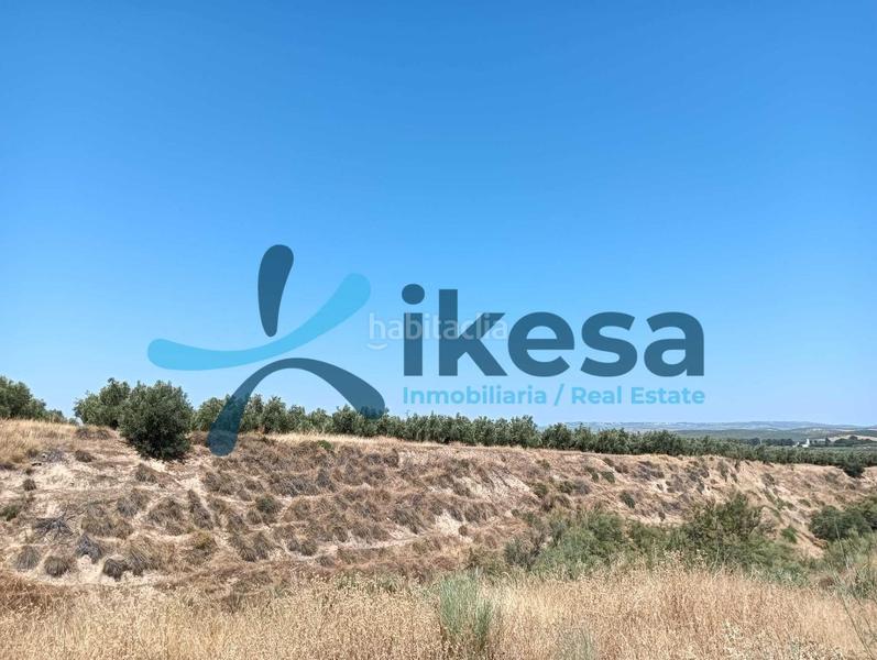 Foto f4634afb-9a32-45aa-b273-170319f043c5. Propriété dans Jódar