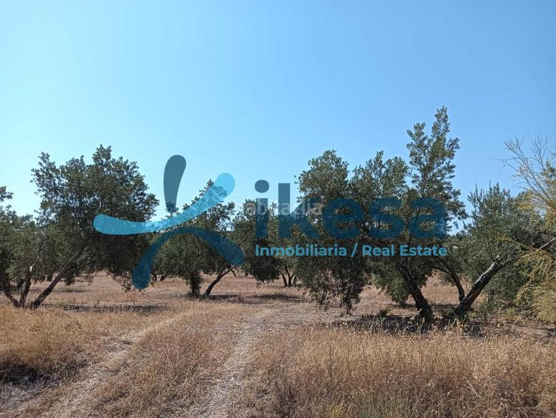 Foto f7ae0210-fe5f-4279-8098-82b76194c3c9. Propriété dans Jódar