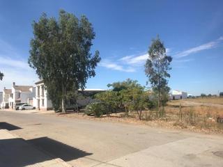 Casa adossada a Palacios y Villafranca (Los)