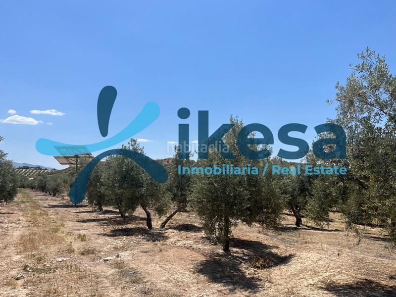 Foto c2eab6b7-ddcd-439b-be11-e2d989e9dc5c. Finca rústica a Peal de Becerro