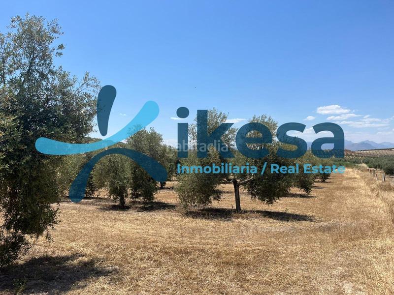 Foto e9ac8cfb-2945-4ba4-a0cb-02fb9ea05005. Finca rústica a Peal de Becerro