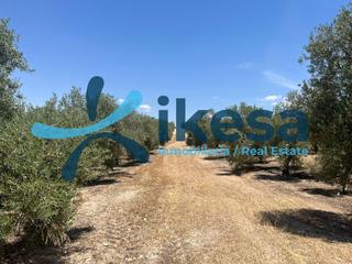 Finca rústica a Peal de Becerro