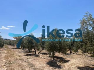 Rural plot in Peal de Becerro