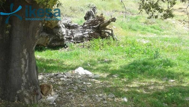 Foto df4f0296-75bd-4484-9c30-4a50bf2298b5. Wohngrundstück in Cortegana