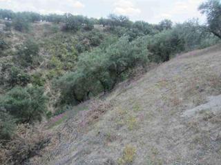 Finca rústica a Almedinilla. Venta de terreno rústico en almedinilla córdoba