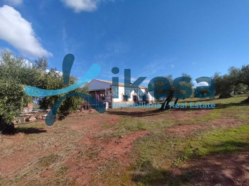 Foto 1b37c2f2-6004-4f88-9fba-8c619e7f7e13. Fondo rustico in Montoro