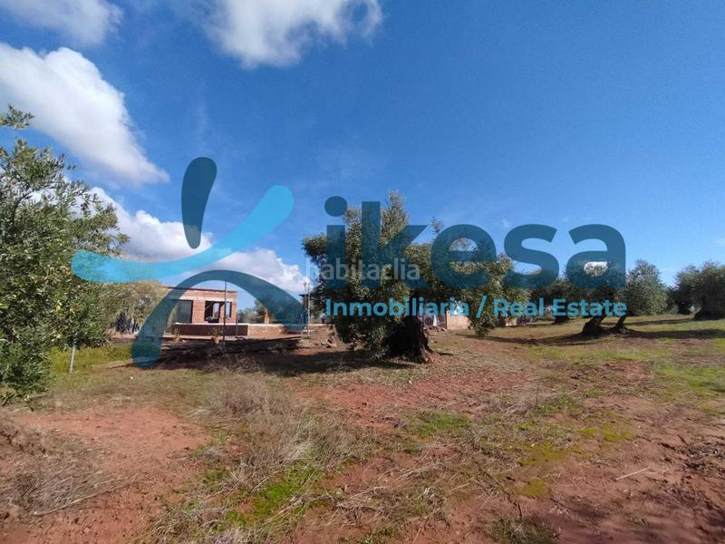 Foto 4547dc5f-556e-4bd5-b6d0-f2a2ed01935d. Fondo rustico in Montoro