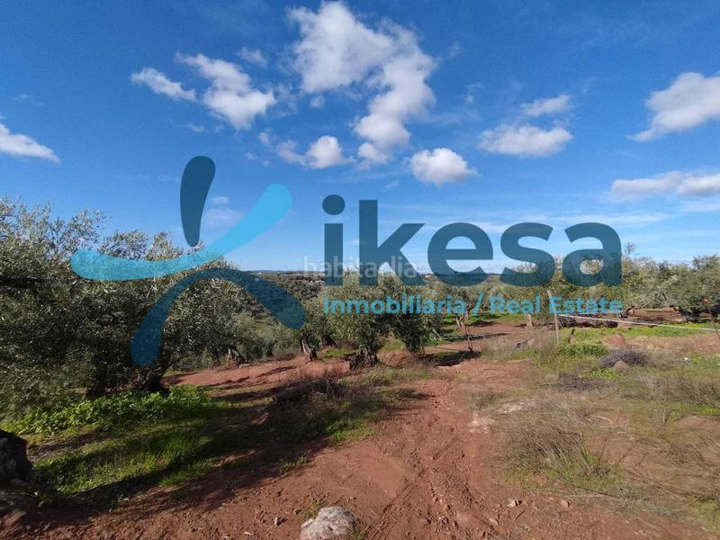 Foto 4cc032be-1b9f-4878-b021-0420b22bd2d3. Fondo rustico in Montoro