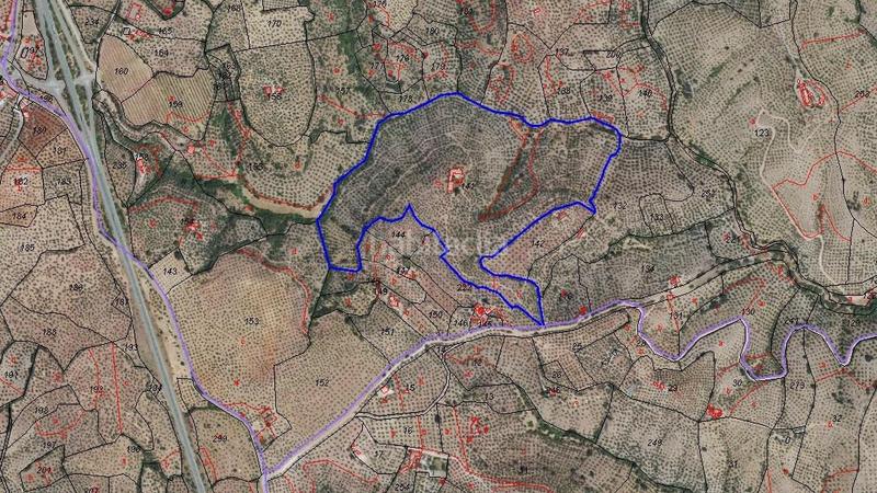 Foto 51ab03fb-2e27-4c7a-99c8-d63fb243dc86. Fondo rustico in Montoro