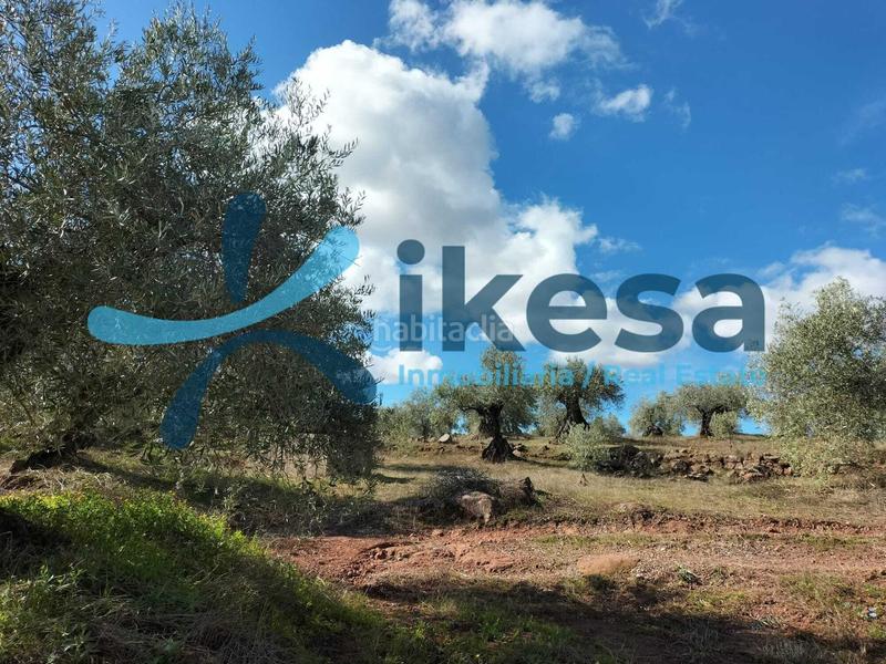 Foto 5470e43d-9390-469f-83b7-4c9f4c52d83d. Fondo rustico in Montoro