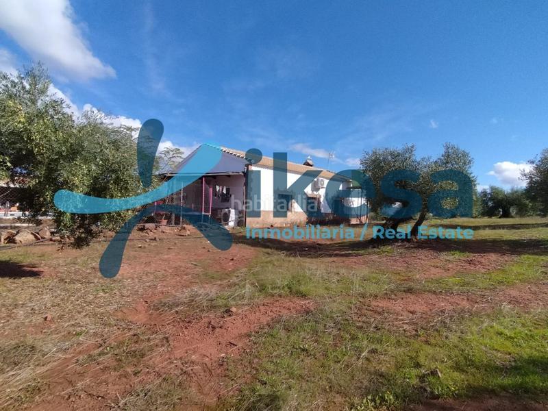 Foto 5d7d7dd8-8b1d-4d42-91e9-3c1b95e519f5. Fondo rustico in Montoro