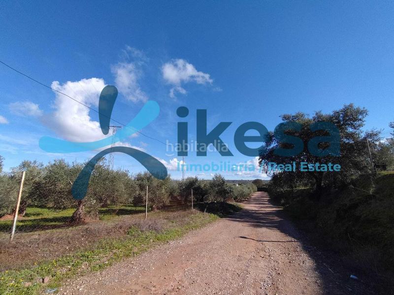 Foto 64cda0f6-338a-4477-b0ec-d8e8b49f642e. Fondo rustico in Montoro