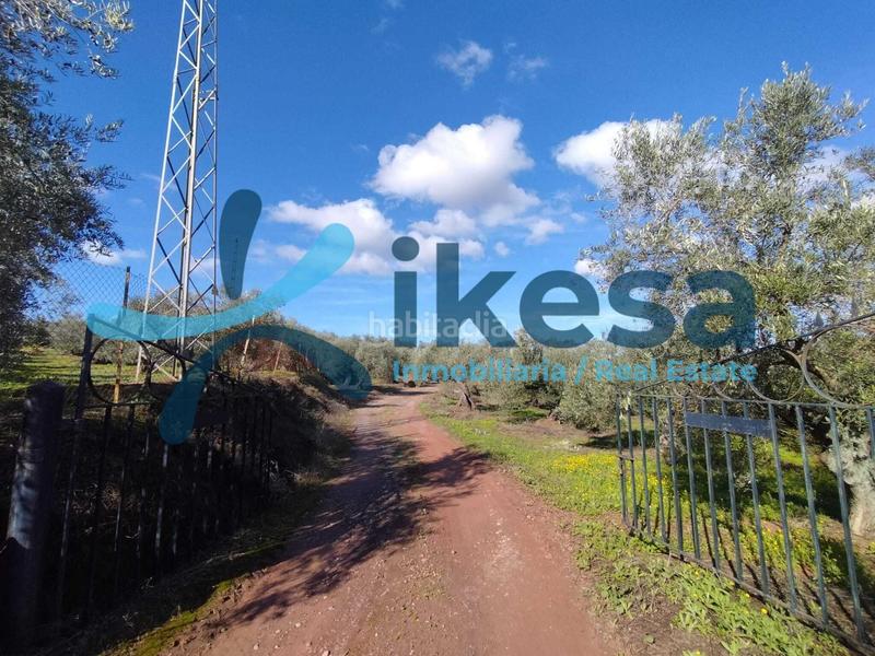 Foto 81581478-1acf-4e12-bee8-e375b03284d3. Fondo rustico in Montoro