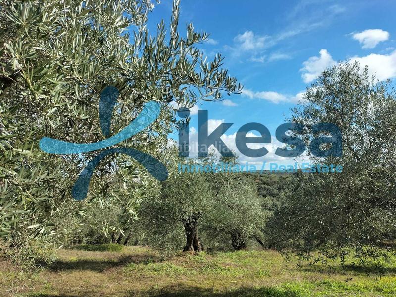 Foto e5e51449-8a68-4dd0-92d2-95f8195c1f6b. Fondo rustico in Montoro