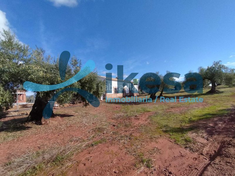 Foto 1a827177-2502-45f0-9e4a-9d29f140698a. Finca rústica a Montoro