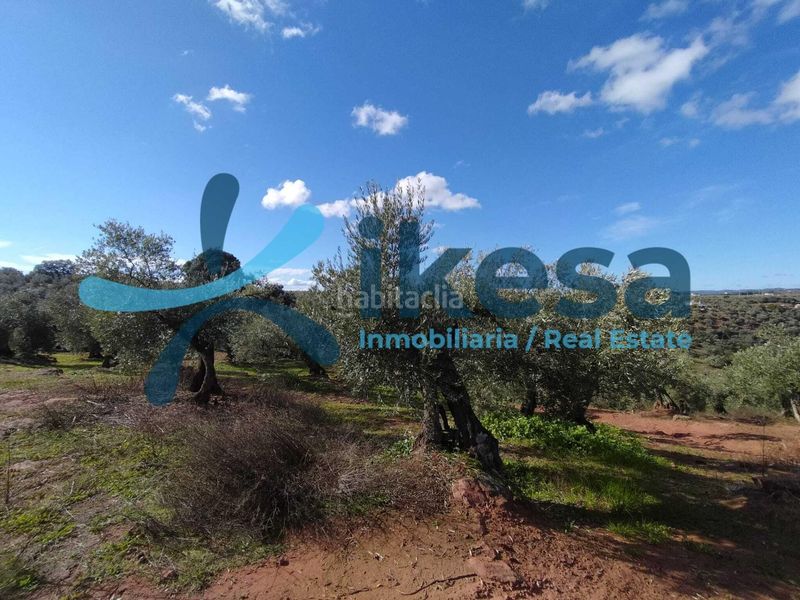 Foto 1cd0a82f-10dd-4c53-89d2-110c3a6fdbcd. Finca rústica a Montoro