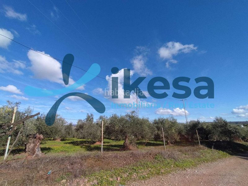 Foto 580fb361-d060-41f3-a4fe-eba25e63bfa7. Finca rústica a Montoro
