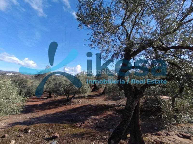 Foto a766830d-0529-4009-af26-e79f6a0bf485. Finca rústica a Montoro
