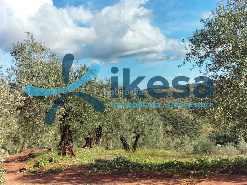 Foto b9fcd325-7101-48cf-abd1-271121774179. Finca rústica a Montoro