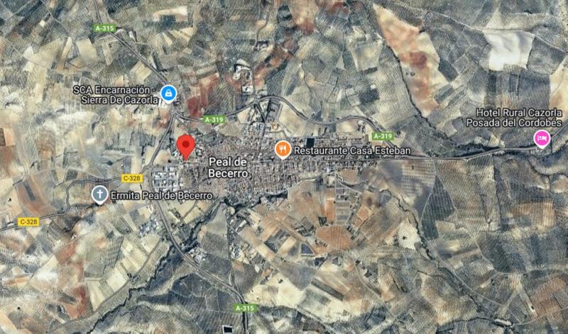 Foto 590b9b42-d285-410a-b8e5-0f33cff50679. Pis a Peal de Becerro