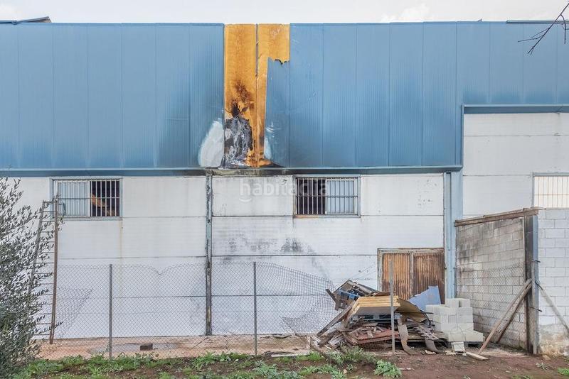 Foto 7cac4d94-80fa-43a4-9ea7-f87cd550ef70. Capannone industriale in Luisiana (La)