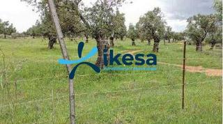 Propriété à Beas. Venta de suelo rústico en beas, huelva. venta en período oferta