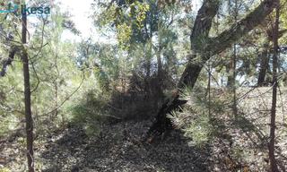 Landgut in Valdelarco. Venta de terreno rústico en valdelarco, huelva