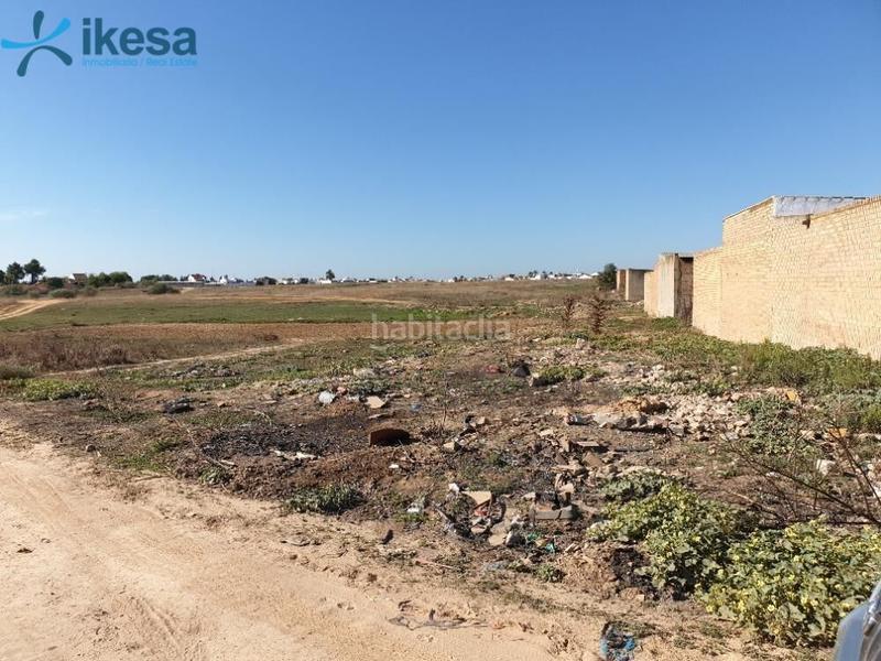 Foto 3bcfb8d9-f07e-46c7-abdd-e8b02716b261. Terreny residencial a Almonte Almonte