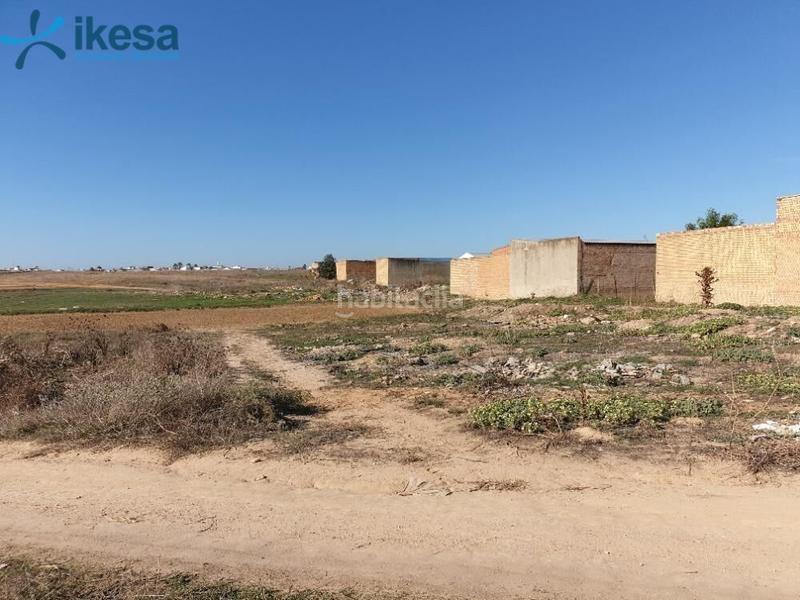 Foto a462893f-2268-47f8-90f3-c76ded7478cb. Terreny residencial a Almonte Almonte