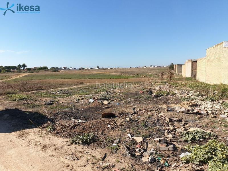 Foto ca991387-7f4b-46c1-8df4-a886b1d7f14b. Terreny residencial a Almonte Almonte