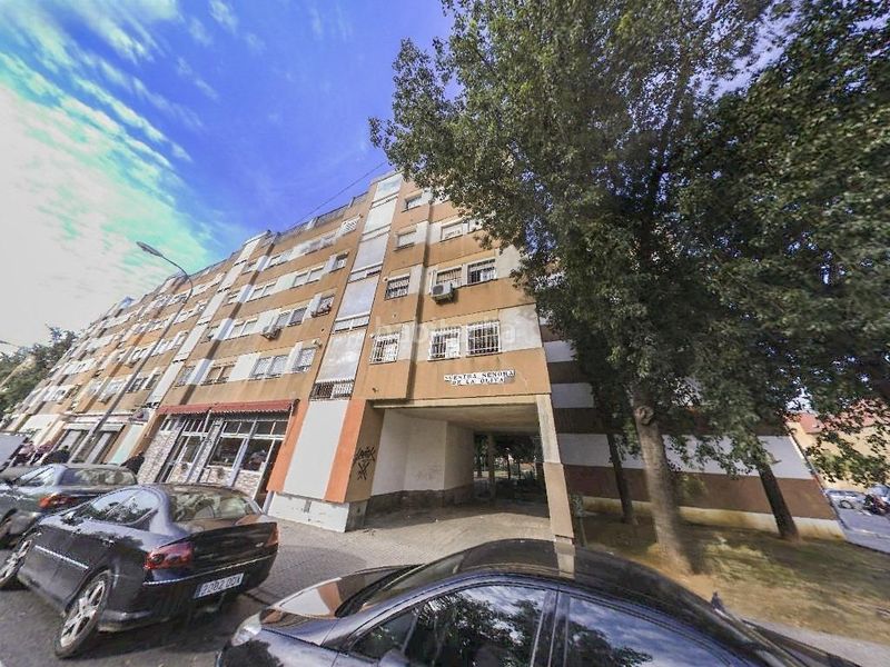 Foto 7309a8e3-4b47-464b-ad7a-eb156652f020. Pis a La Oliva Sevilla