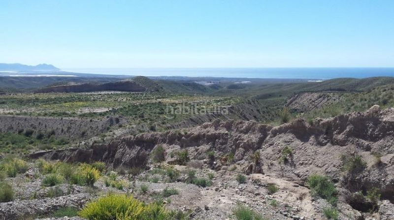 Foto 86c0c92b-559c-4c20-bc48-3d6763320c03. Finca rústica a Centro Almería