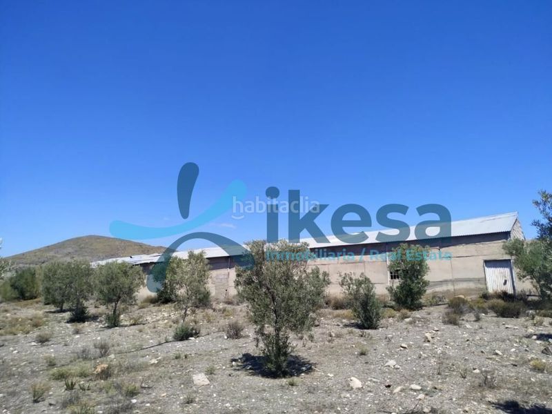 Foto ac969fe6-5d80-4783-916d-625a1b435bb9. Finca rústica a Gérgal