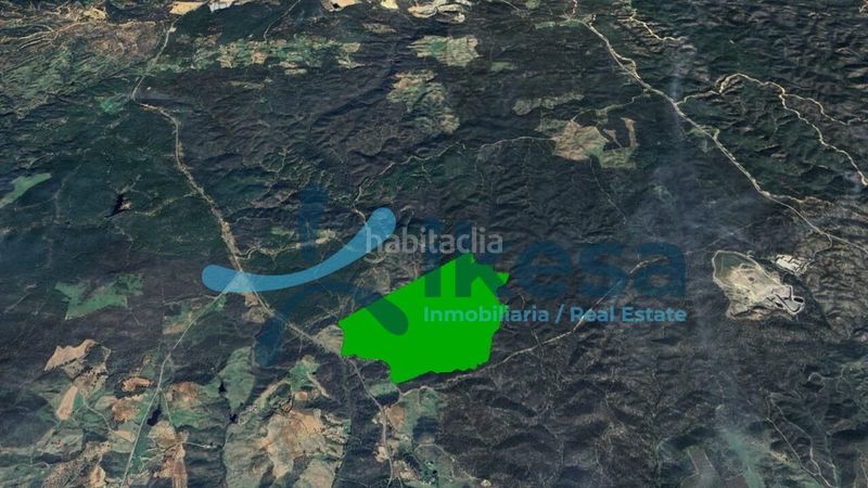 Foto e96d0133-e3f5-4e47-bb9c-71c0a53773cf. Finca rústica a Niebla