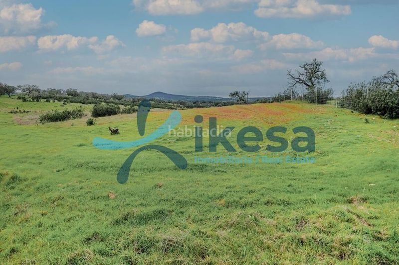 Foto 057571ff-675a-4eaa-9775-c5ffd143b226. Finca rústica a Puebla de Guzmán