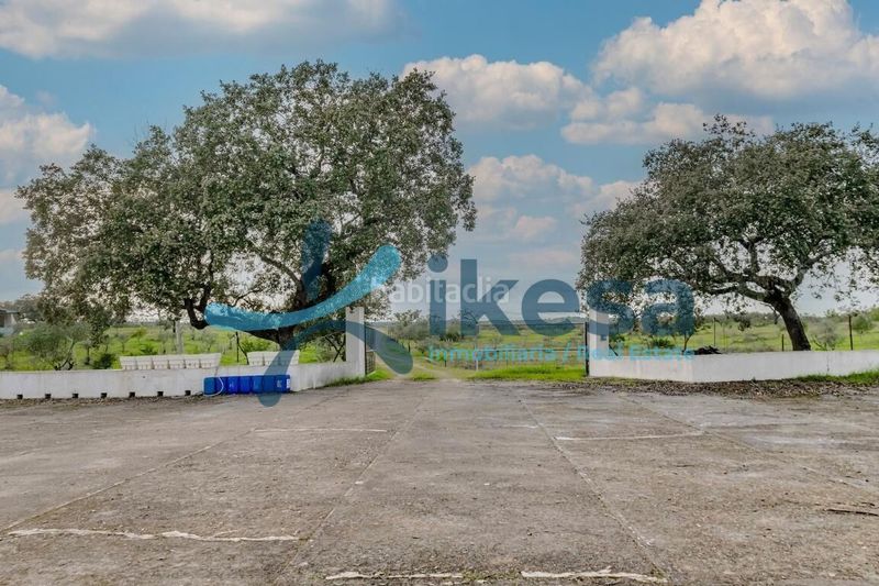 Foto 0b8e5d0c-6591-4869-a696-5691438f07c5. Finca rústica a Puebla de Guzmán
