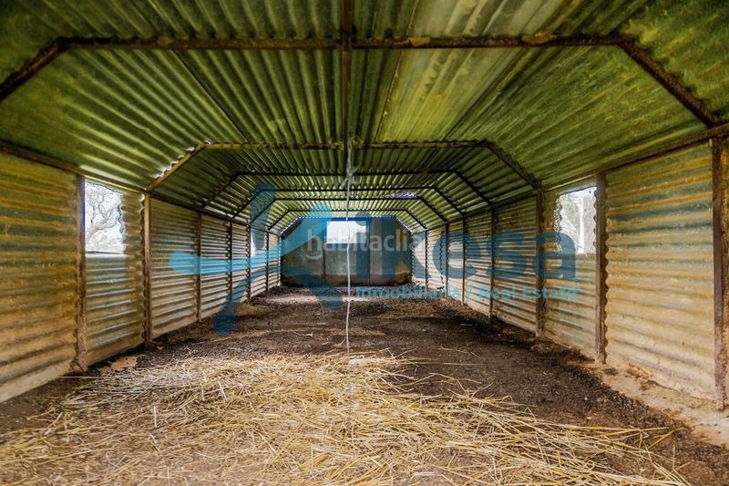 Foto 3b222145-b284-4d6b-9d60-841c365a8cc2. Finca rústica a Puebla de Guzmán