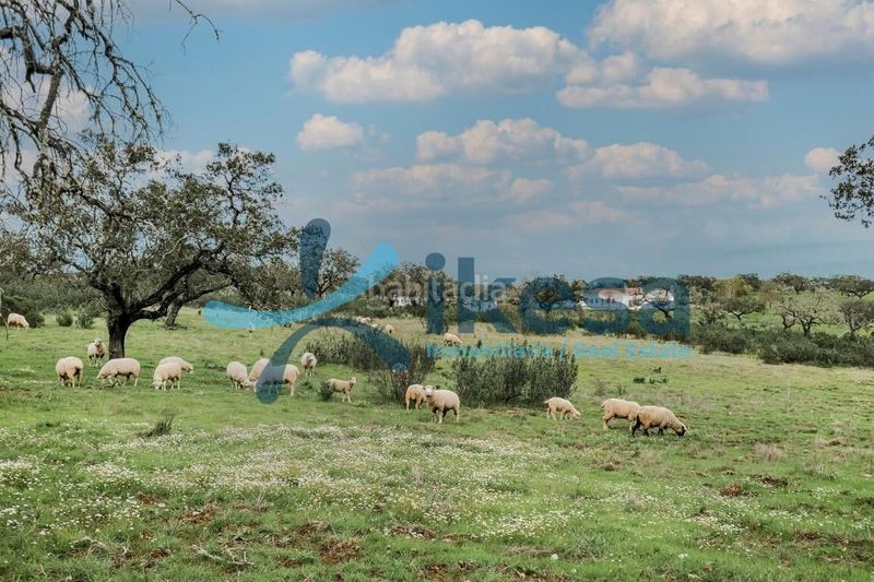 Foto 59f3dde9-35fa-43c0-988f-983c5938f870. Finca rústica a Puebla de Guzmán