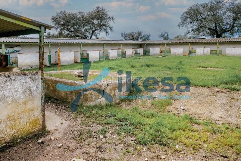 Foto 6bf6f596-ef57-4e8e-b757-a46e72436b32. Finca rústica a Puebla de Guzmán