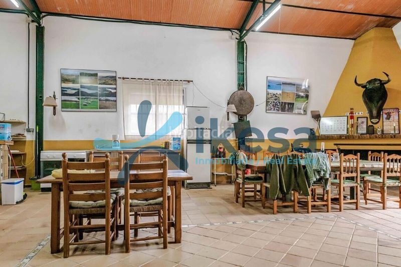 Foto 6ca099e7-b005-4a43-bbbb-ff6df01ace4c. Finca rústica a Puebla de Guzmán