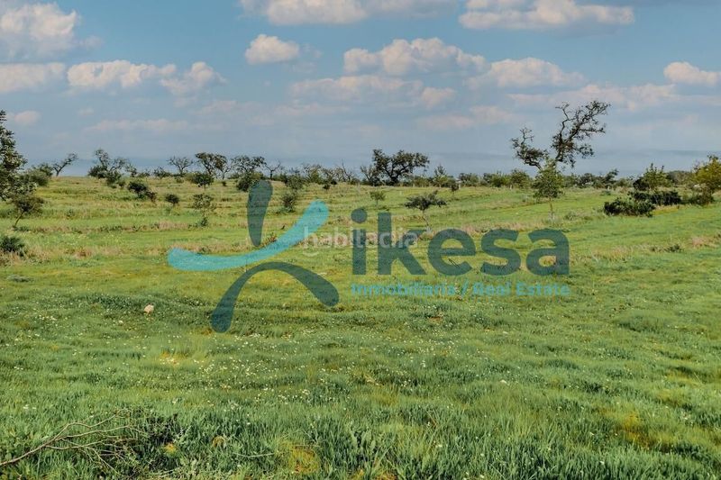 Foto 7879c64f-a588-420b-bcbd-f898be8312bc. Finca rústica a Puebla de Guzmán